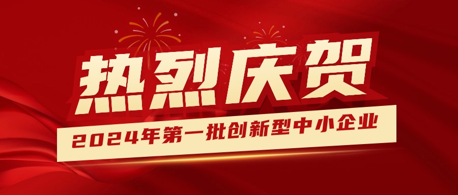 喜報！集團獲認定為2024年第一批創(chuàng  )新型中小企業(yè) 
