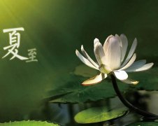 夏至節氣，廣西強壽藥業(yè)集團提醒您注意防暑降溫