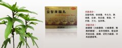 益智康腦丸治療什么病，益智康腦丸主治什么病