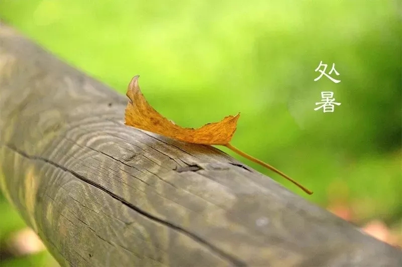 處暑，即為“出暑”